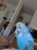 IMG_20200630_160511.jpg