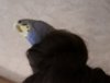 IMG_20200702_011000.jpg
