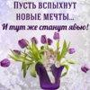 wish0149.jpg