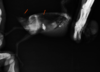 2020-07-21_19-02-13.png
