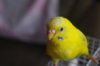 IMGP0657.JPG