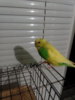 IMG_20200808_213531.jpg