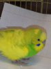 IMG_20200820_204134.jpg