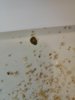 IMG_20200827_113017.jpg