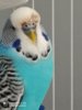 IMG_20200830_135520.jpg