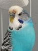 IMG_20200830_135404.jpg