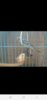 Screenshot_20200901-005124.jpg