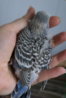 DSC03037.JPG