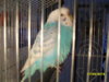 SDC16206.JPG