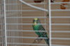 DSC05415.JPG