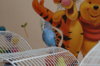 DSC05414.JPG