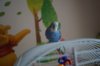 DSC05435.JPG