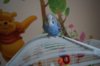 DSC05439.JPG