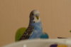 DSC05487.JPG