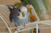 DSC05498.JPG