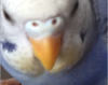 Image 2.png