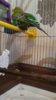 20160310_172849.jpg