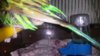 20160312_225215.jpg