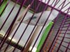 20200901_183955.jpg