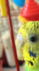 9FAC16C8-4D78-4879-9659-36A6E30409B8.png