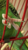 DC230CD8-7B6E-427E-BCD8-B6642E7C9949.png