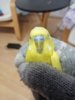 IMG_20200921_190637.jpg