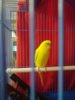 IMG_20200921_204417.jpg