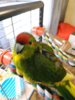 IMG_20200926_140715.jpg