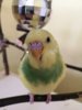 IMG_20201002_104114.jpg