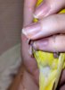 IMG_20201005_033838.jpg