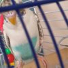 20201006_224421.jpg