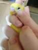 IMG_20201013_194829.jpg