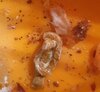 20201017_221927.jpg