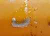 20201017_221858.jpg