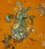 20201018_092654.jpg