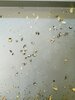 IMG_20201021_085039.jpg