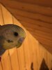 5CB95E14-FF2E-4E67-8051-45DE526B37F8.jpeg