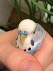 IMG_8277.jpeg