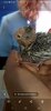 Screenshot_20201104-153402_Gallery.jpg