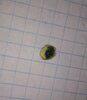 IMG_20201119_230037.jpg