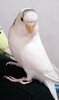 IMG_20201119_233932.jpg