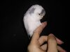 IMG_20201119_234349.jpg