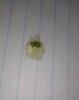 IMG_20201120_122548.jpg