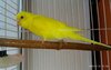 IMG_20201108_134225.jpg