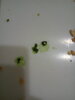 20201123_213951.jpg