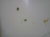 20201124_223331.jpg