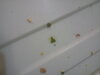 20201124_223327.jpg