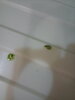 20201127_100252.jpg