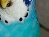 IMG_20201127_224348.jpg