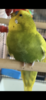 513EA2C1-B6C9-4A73-AB21-3F3B987BA5C1.png